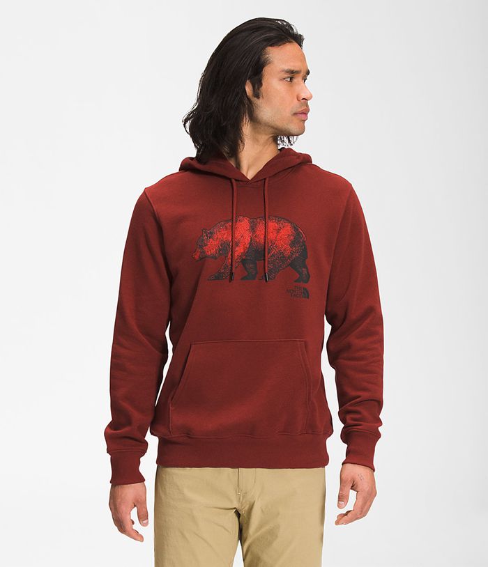 The North Face Mens Hoodie TNF™ Bear Pullover 847WYCNTQ - Dark Red